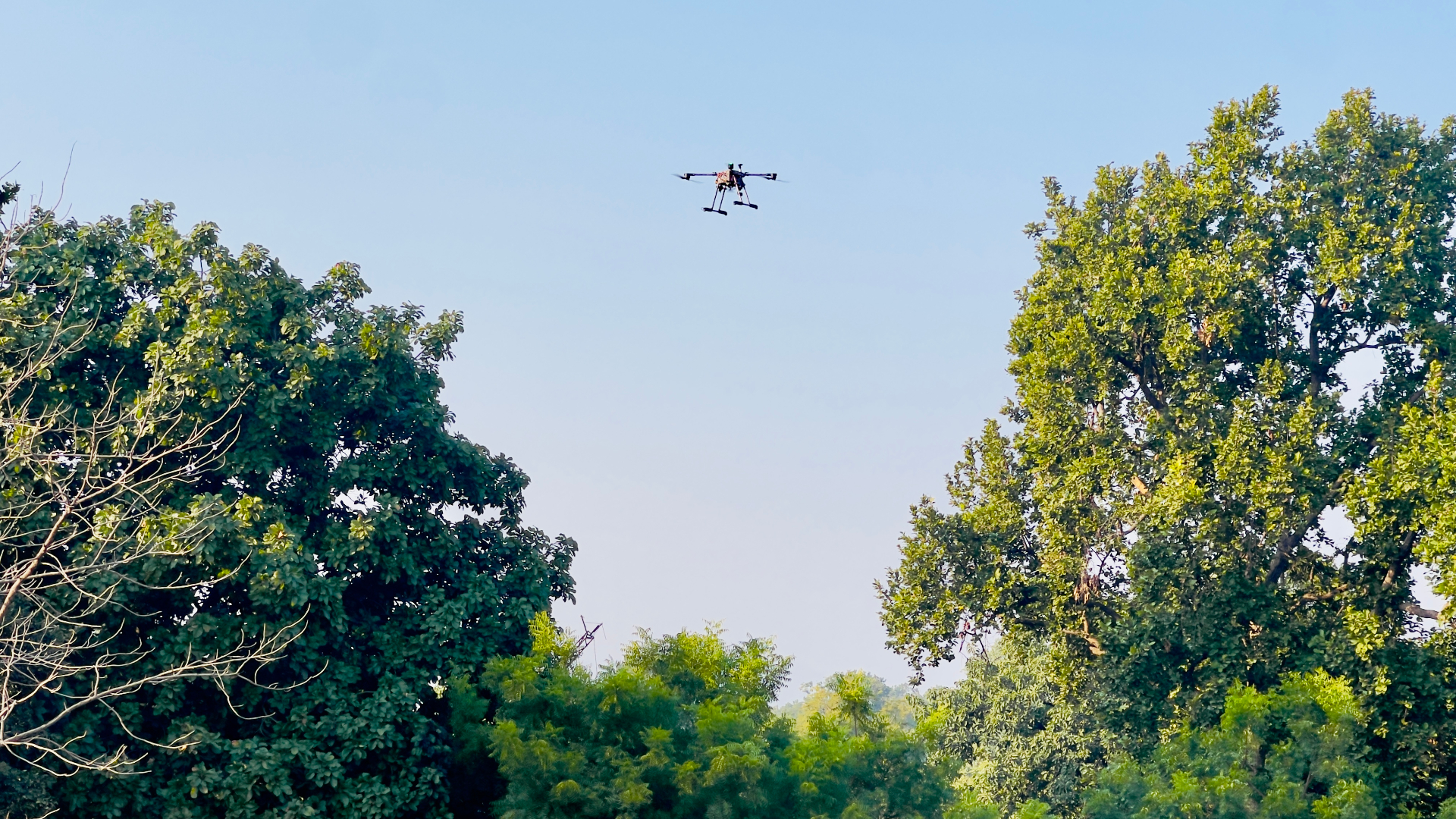 Survey drone flying above an Indian forest canopy